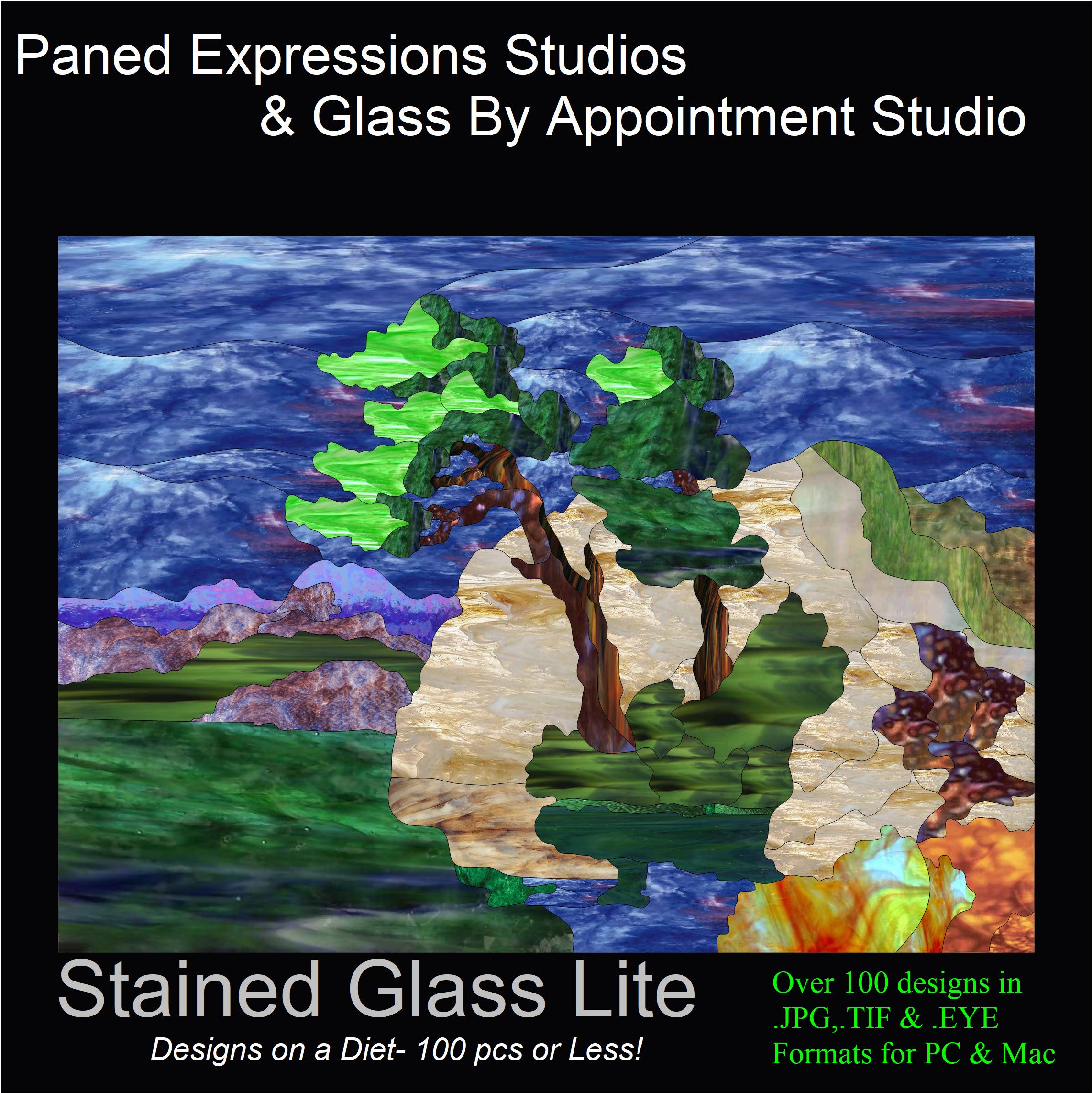 Simple Stained Glass Patterns on CD, 130+ Stained Glass Designs – Paned ...