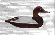 Stained Glass Pattern-Red Head Duck