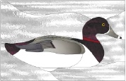 Stained Glass Pattern-Ring Neck Duck