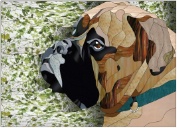 Stained Glass Pattern-Mastiff