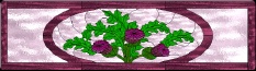 Stained Glass Pattern Thistle Transom
