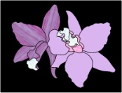 stained glass pattern Orchid Corsage