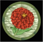 stained glass zinnia