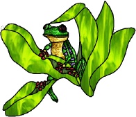 Stained Glass Pattern Tropical Frog Suncatcher