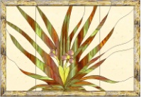 Stained Glass Pattern Wildflower Soldier Plant